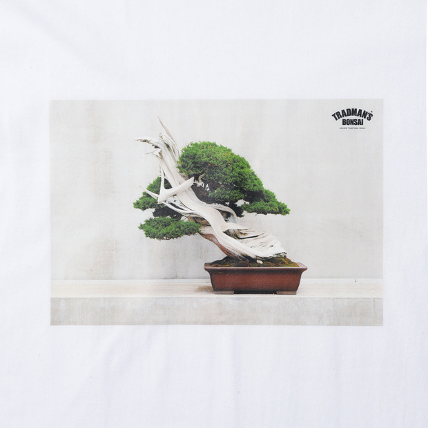 BONSAI PHOTO T-SHIRT　-真柏- 詳細画像
